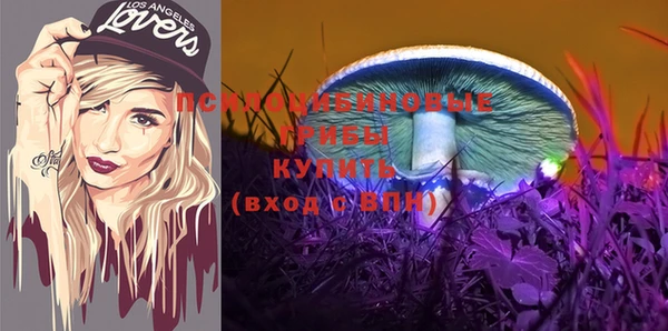 молекула духа Аркадак
