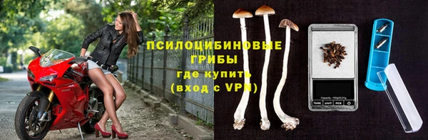 сатива Армянск