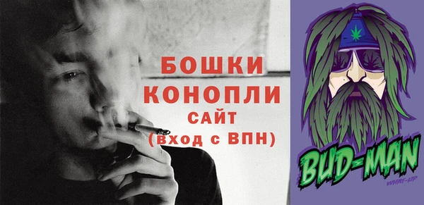 молекула духа Аркадак