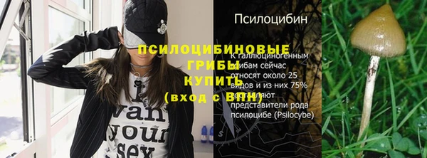 сатива Армянск