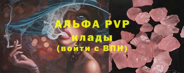 сатива Армянск